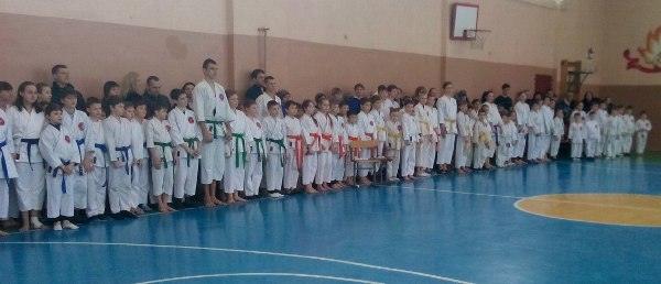 Константиновка приняла турнир по традиционному каратэ, посвященный Дню студента