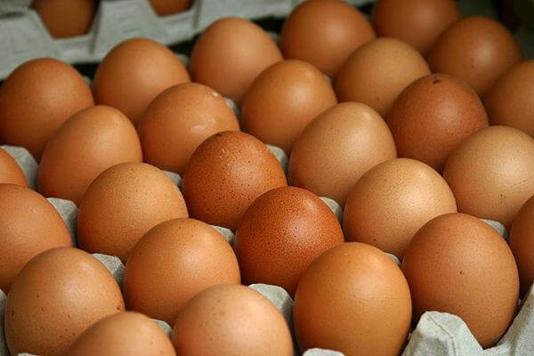 Антимонопольный комитет взялся проверять правомерность повышения цены на куриные яйца