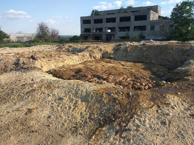 В Константиновке полицейские зафиксировали факт свалки животных отходов
