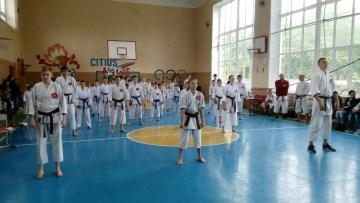 В Константиновке состоялся областной турнир по традиционному каратэ