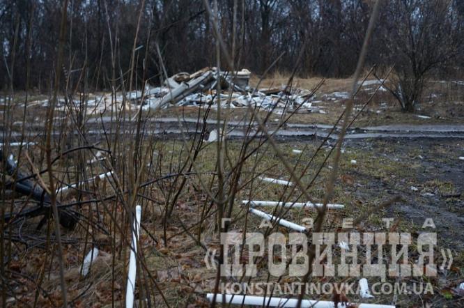 Шанхайский ставок в Константиновке может быть отравлен ртутью