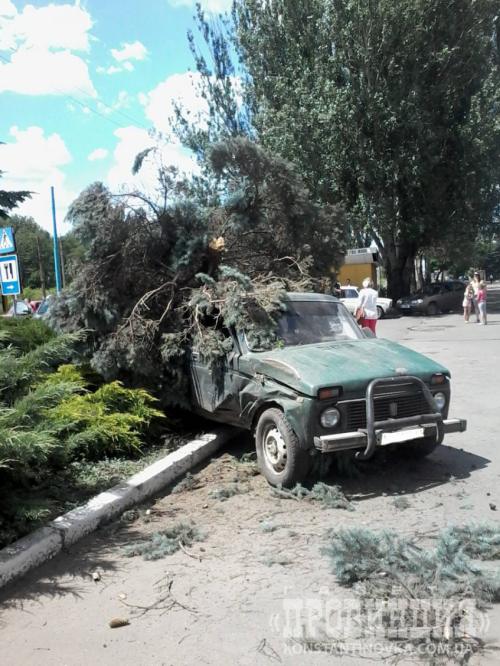 В Константиновке автомобиль снес елку, которая росла у городского совета