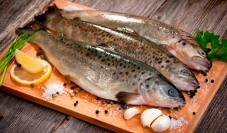 Можно ли есть сырую рыбу? Можно ли есть сырую рыбу?