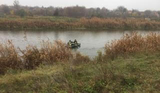 В Константиновке спасли лебедя, который запутался в камышах В Константиновке спасли лебедя, который запутался в камышах