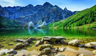 Фотообои природа: отличный инструмент для зонирования жилых помещений Фотообои природа: отличный инструмент для зонирования жилых помещений