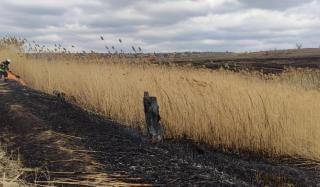 В Константиновке спасатели ликвидировали пожар камыша