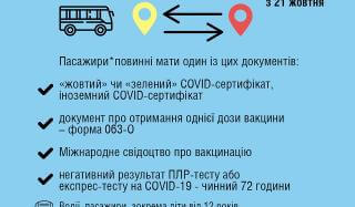 Правила поездок между регионами: какие документы нужны Правила поездок между регионами: какие документы нужны