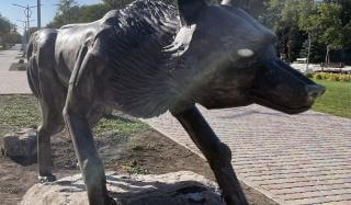 В Курахово появилася памятник «волку». Мнения жителей разошлись В Курахово появилася памятник «волку». Мнения жителей разошлись