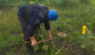 Только за сутки в Донецкой области обнаружено 889 взрывоопасных предметов