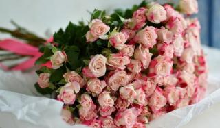 Только для вас прекрасные цветы с доставкой высшего качества Только для вас прекрасные цветы с доставкой высшего качества