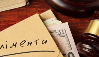 Порядок стягнення аліментів на дитину інваліда Порядок стягнення аліментів на дитину інваліда