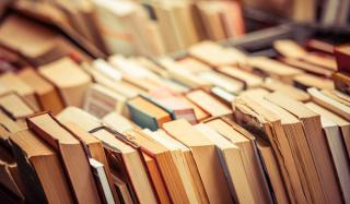 На «Книжном Арсенале» наградили школьницу из Константиновки На «Книжном Арсенале» наградили школьницу из Константиновки