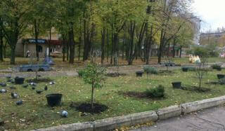 В Константиновке в сквере "Театральный" высадили кусты сирени