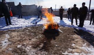 Африканская чума свиней в Константиновке