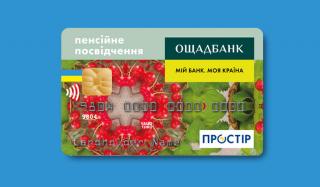 Электронное пенсионное удостоверение