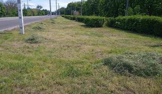 Коммунальные предприятия привели в порядок проспект Ломоносова