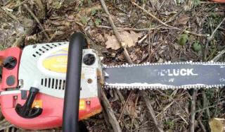 В Константиновском районе пресечена незаконная вырубка леса