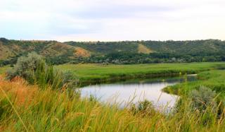 Село Александро-Калиново