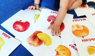 Карточки Домана. Как заниматься по карточкам Домана Карточки Домана. Как заниматься по карточкам Домана