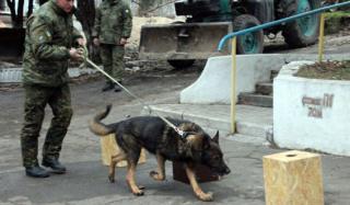 В Донецкую область прибыли кинологи В Донецкую область прибыли кинологи