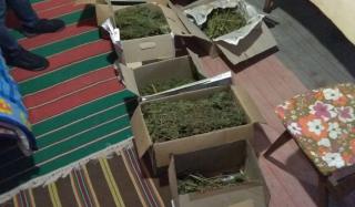 У жителя Константиновки изъяли около восьми килограммов конопли У жителя Константиновки изъяли около восьми килограммов конопли