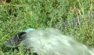 В Константиновке воду из подвалов выкачивают просто на улицу В Константиновке воду из подвалов выкачивают просто на улицу