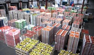 Овощехранилище – информирует mas-ukraine.com.ua!