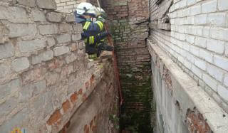 В Константиновке спасатели достали собаку из подвала