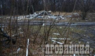 Шанхайский ставок в Константиновке может быть отравлен ртутью