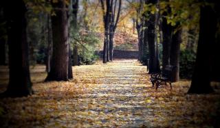 Сквер в Константиновке