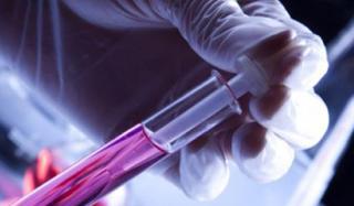 Константиновцев обеспечили сывороткой от яда гадюки Константиновцев обеспечили сывороткой от яда гадюки