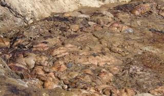 В Константиновке могут построить новый комплекс по переработке отходов В Константиновке могут построить новый комплекс по переработке отходов